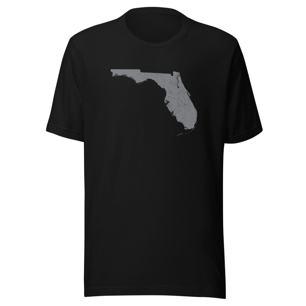 Florida State Distressed Design Unisex T-Shirt Bella Canvas Sunshine State Tee