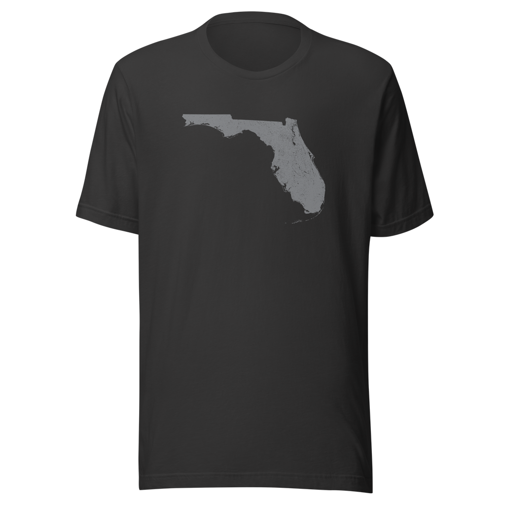Florida State Distressed Design Unisex T-Shirt Bella Canvas Sunshine State Tee